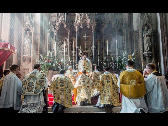 Shock result! German Synodal way votes by majority 93% to return the Latin Mass.