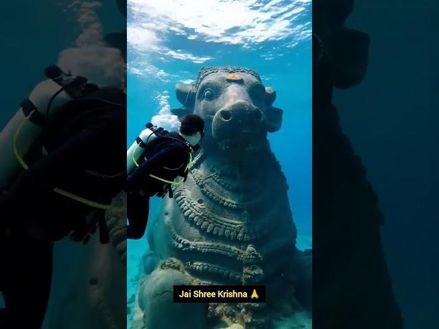 Uncovering the depths of ancient Dwarka  #dwarka #krishna #ocean #underwater #viralvideo