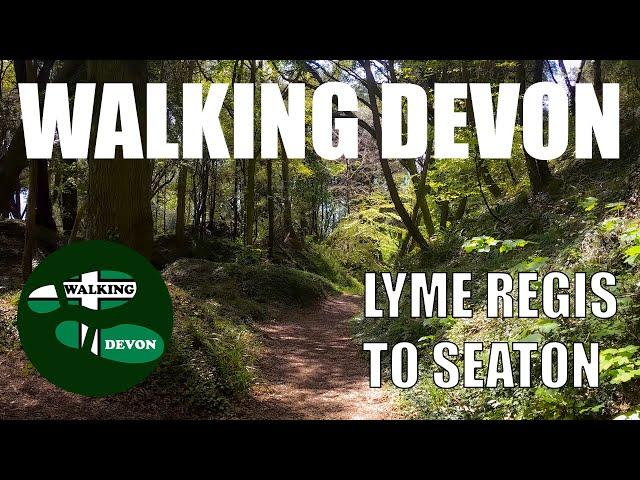 Devon Walks: The South West Coast Path - The Undercliffs, Lyme Regis to Seaton.