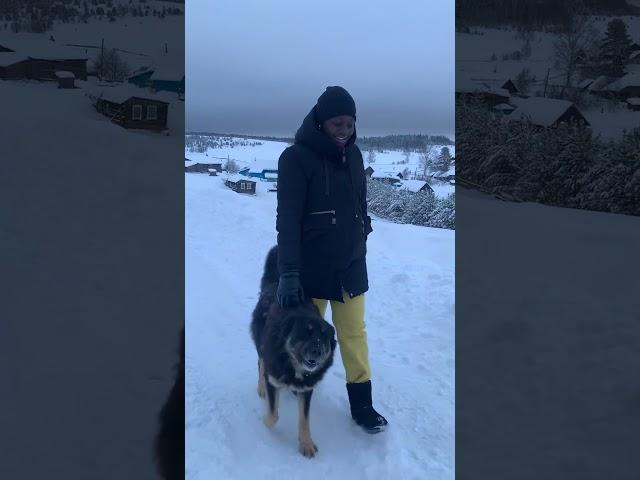 Just walking #winter #dog #villagelife #simplelife #village