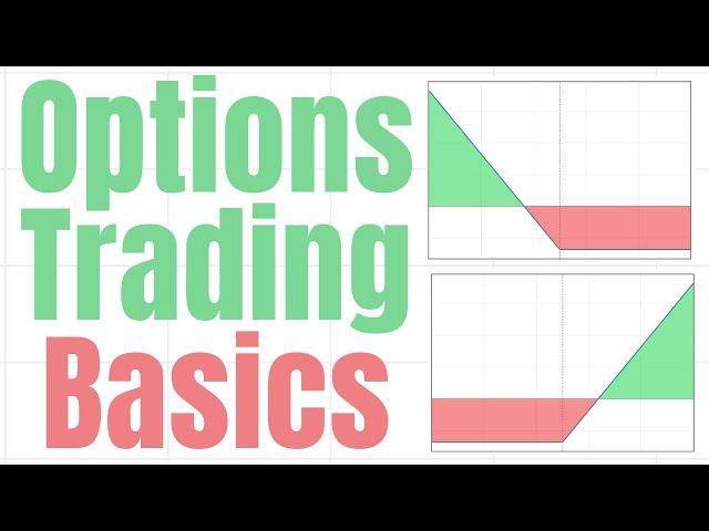 Options Trading Basics | FULL Beginners Guide