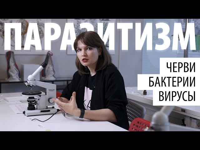 Паразиты — полезное приобретение. Елена Сударикова