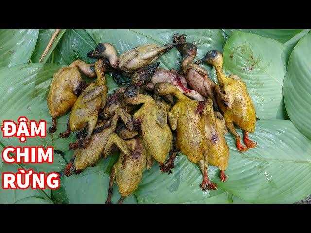 VÀO RỪNG ĐI SĂN, NGÀY BỘI THU, TRẢI NGHIỆM TRONG RỪNG, NGỦ RỪNG  - Rừng Năm Xưa | T6