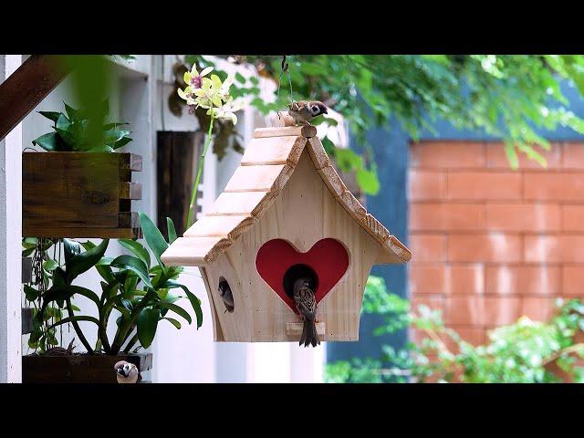 Smart Woodworking Ideas For Pets Build Heart Shape Bird House and Bird Feeder