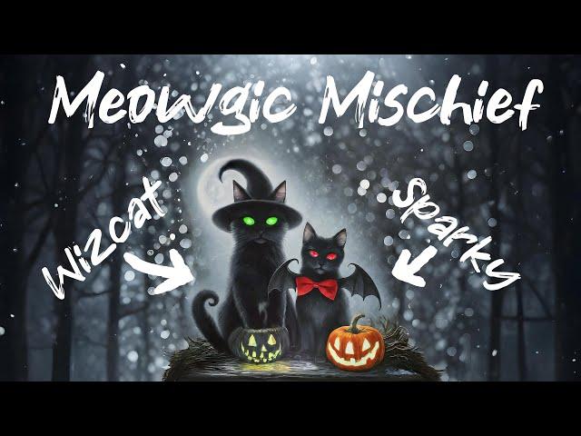 Black Cat’s Secret