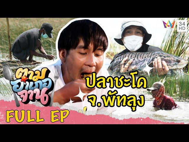 ตามหา ปลาชะโด จ.พัทลุง | ตามอำเภอจาน | 6 พ.ย.64 Full EP