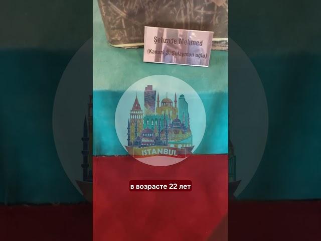 Любимый сын султана Сулеймана и Хюррем султан, кто он?
