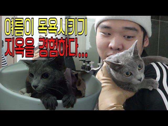 지옥을 경험했습니다...여름이 목욕시키기 - 스팀보이