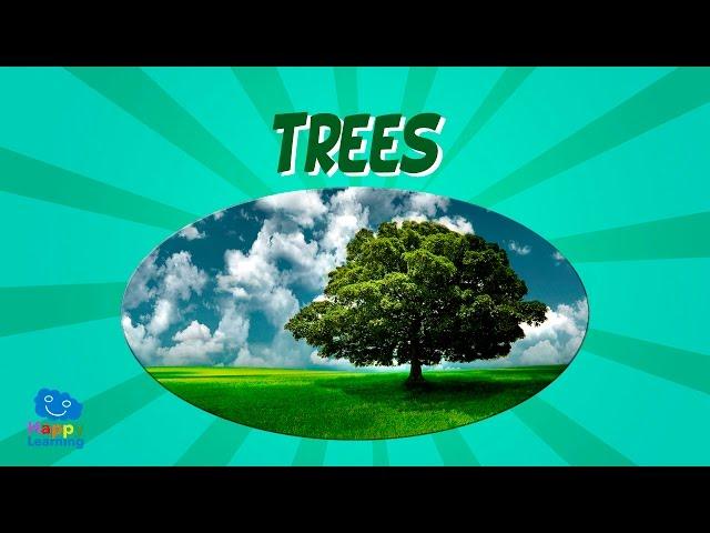 Trees | Educational Video for Kids