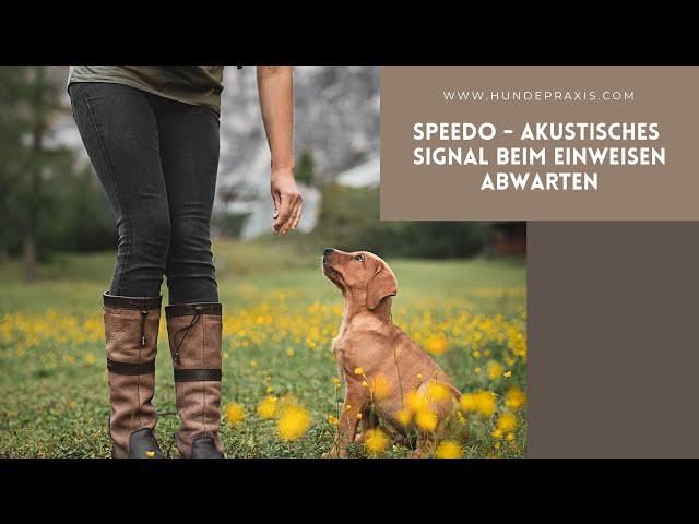 Speedo - Akustisches Signal beim Einweisen abwarten!