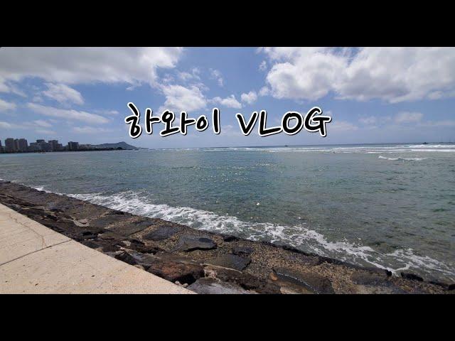 하와이 VLOG ∥ 키킨 케이준, 와이키키, 알라모아나 걷기, 돈카츠긴자바이린