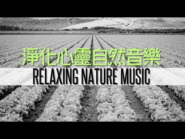 DEEP SLEEPING , CALM AND PEACEFUL RELAXING MUSIC BGM｜消除所有不好的能量，減輕壓力和焦慮，精神上的舒緩，讓心靈感受到平靜