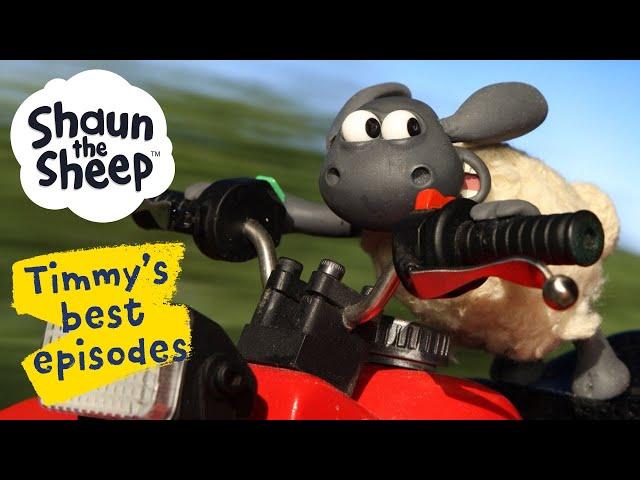 The Big Chase ️ Timmy's Best Episodes from Shaun the Sheep