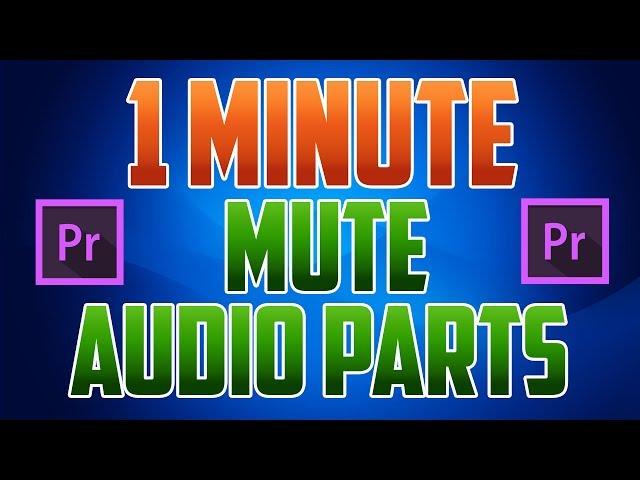 Premiere Pro CC: How to Mute Part of Audio