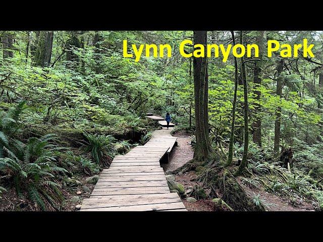 We visited the Lynn Canyon Suspension Bridge and hiked the Twin Falls Bridge Loop Trail –Summer 2024