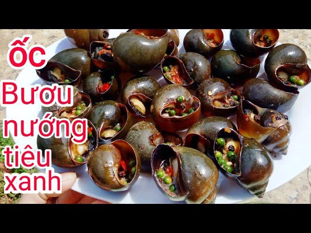 Cách Làm Ốc Bươu Nướng Tiêu Xanh Ngon Đậm Đà, Cực Đơn Giản