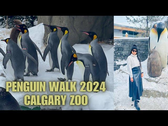 Penguin walk | Calgary zoo | Canada’s most visited zoo | Different animals zones | Winters 2024