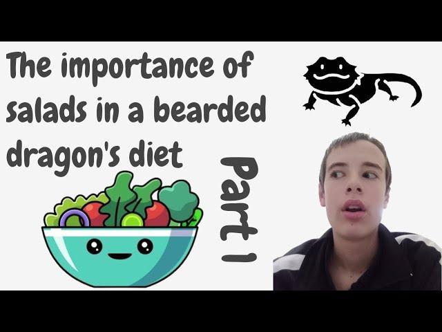 The Importance of Salads in a Bearded Dragon's Diet Part 1