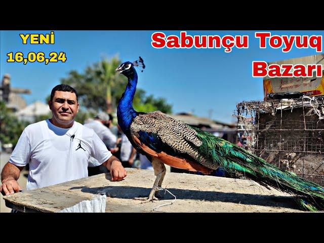 Sabunçu Toyuq Bazarı 16 iyun 2024