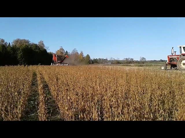 Combining Beans Fall '17