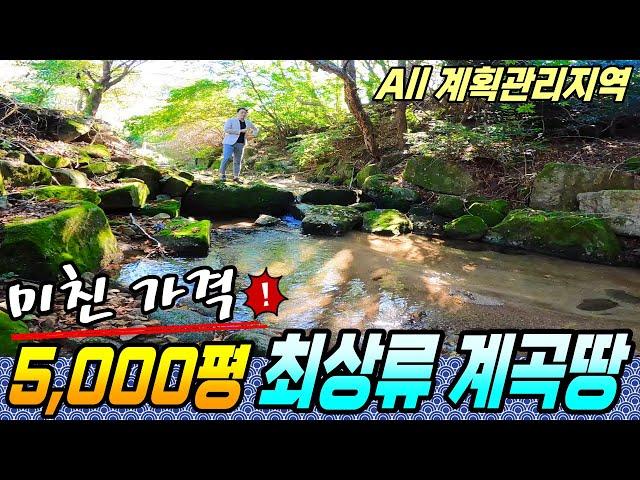 초급매로 팝니다! 5,000평이 넘는 최상류 계곡땅~ 모든 것이 다 되는 토지