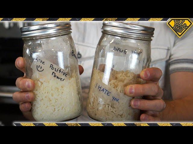 Interesting Experiment With Cooked Rice | Incredible Power Of Words Experiment By Grant Thompson