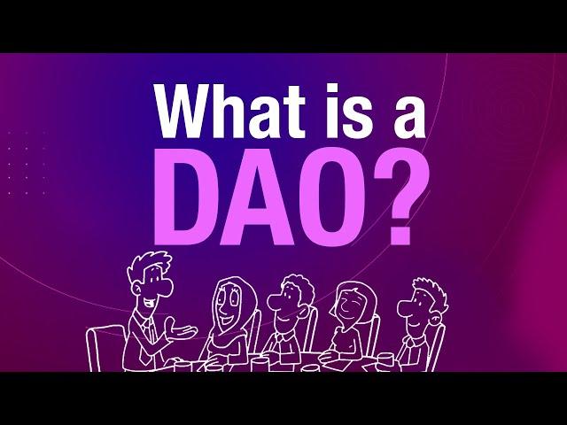 What is a DAO?