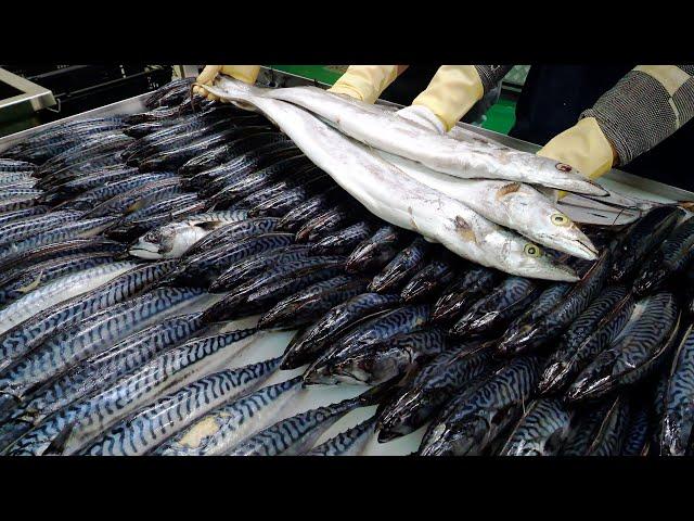 Delicious ! Grilled fish, Steamed fish, Sashimi, and Seasoned raw crab ! | Korean Food