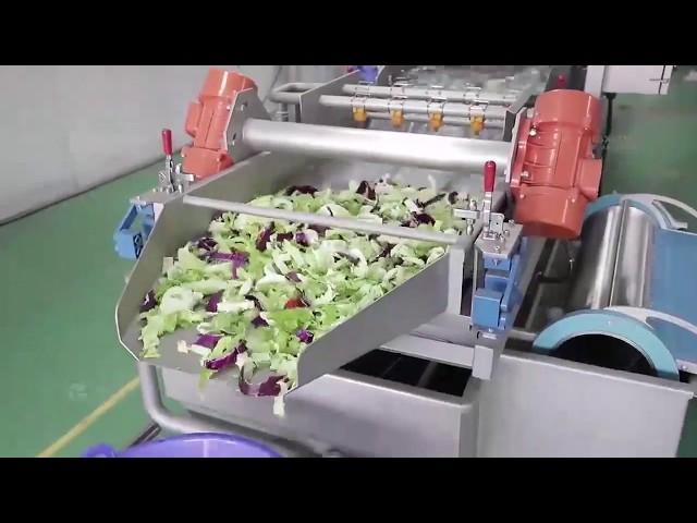 XWA-1300 vegetable washing machine