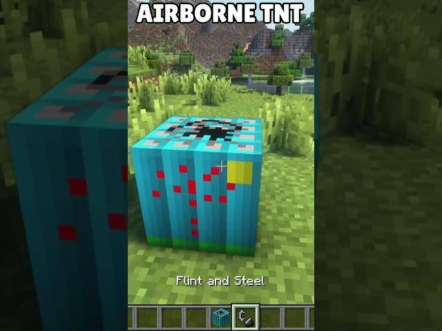 types OF TNT #minecraft