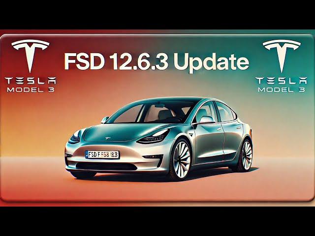 Last Tesla FSD Update for HW3/AI3?