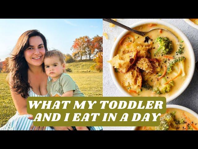 What My Toddler and I Eat in a Day // Simple Vegan Recipes