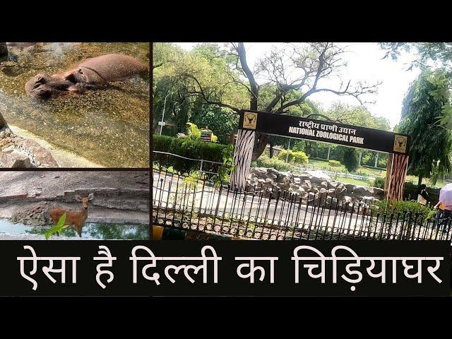 delhi chidiya ghar near metro station  | delhi chidiya ghar ticket price 2022 |  यहां आने से पहले