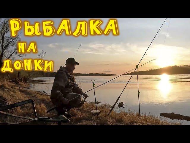 УДАЧНАЯ РЫБАЛКА НА ДОНКИ - ЗАКИДУШКИ. ПОЙМАЛАСЬ ДАЖЕ СТЕРЛЯДЬ.