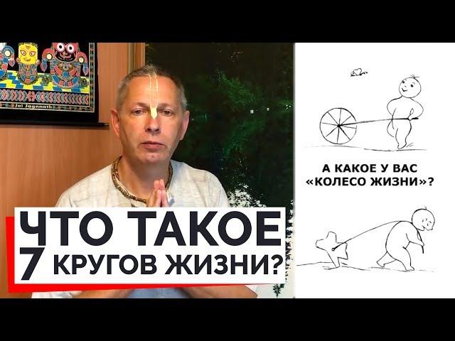 ЧТО ТАКОЕ 7 КРУГОВ ЖИЗНИ? -  ВАСИЛИЙ ТУШКИН