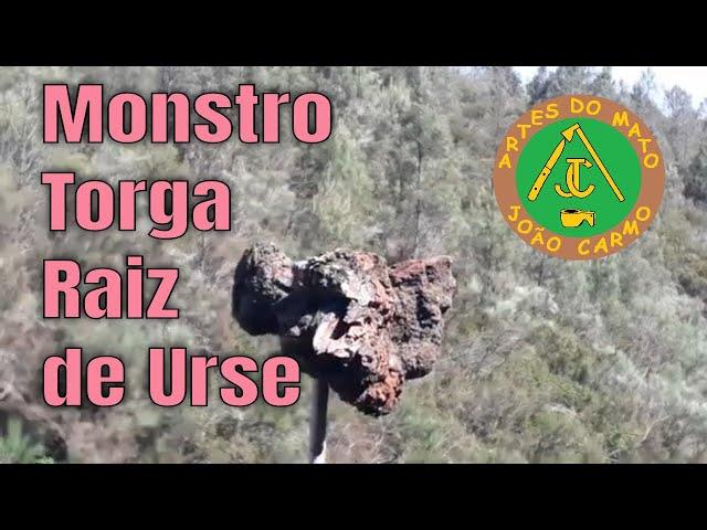 #Monstro #Torga a #Raiz de #Urse