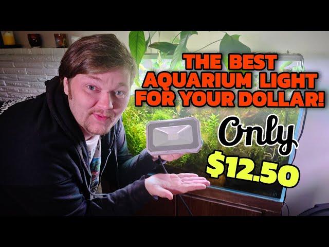 The SECRET BEHIND The MOST Affordable Aquarium Light! HIGH LIGHT & Quality at A Cheap Price!