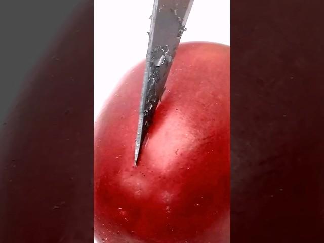 Ultra Close-up - Grape vs Hot Scalpel - Extrem Nahaufnahme - Weintraube vs heißes Skalpell