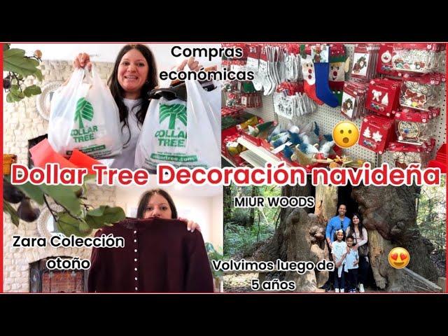 DOLLAR TREE CON DECORACIÓN NAVIDEÑA | COMPRAS ECONÓMICAS Y NUEVA COLECCIÓN ZARA | MIUR WOODS | VLOG