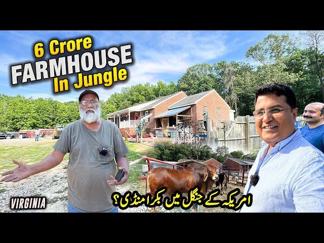 Bangladeshi muslim’s FARMHOUSE in America’s Jungle |  Bakra Mandi ki Tyari