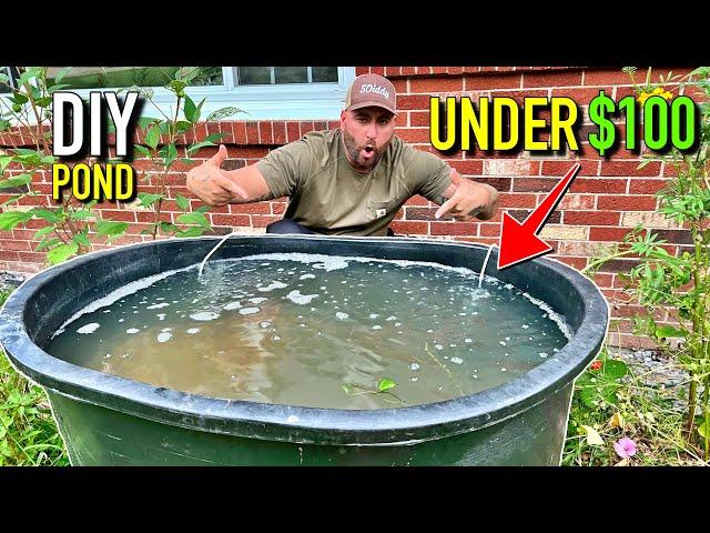 DIY Garden Pond for Under $100! (Stock Tank Pond)