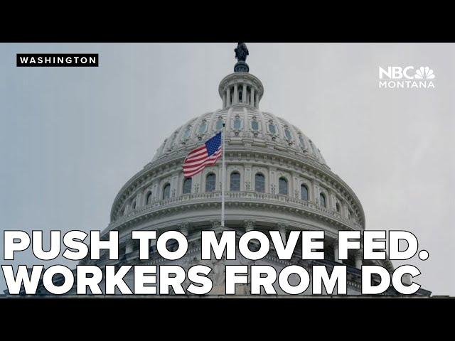 Senator wants to drain the 'swamp' by moving federal workers from DC