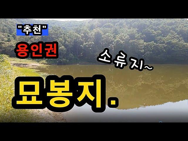 [용인]_ 묘봉지 낚시 포인트 / 송전지, 고삼지 인근 조용한 계곡지 / 경기도 용인시 처인구 이동읍 묘봉리 140-5