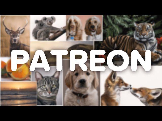 Shaymus Art Patreon Tutorials