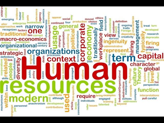 English for Human Resources VV 43 - HR Management (1) | Business English Vocabulary