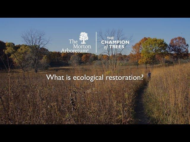 What is ecological restoration?