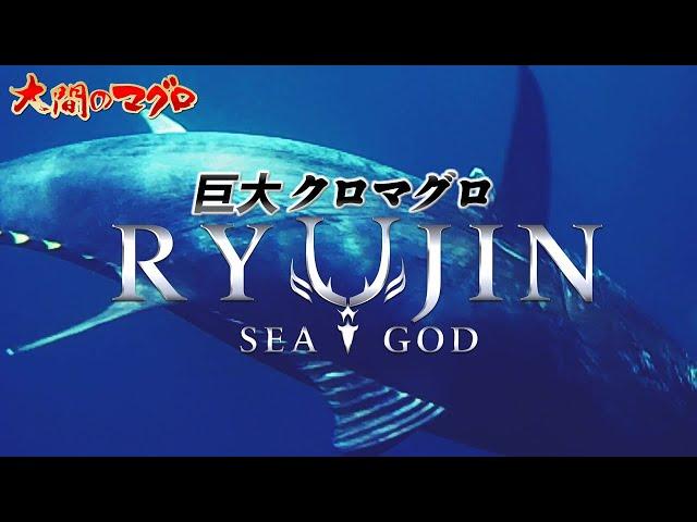 年越し特番 巨大クロマグロ～孤高の洋上戦～大間マグロ BLUEFIN TUNA まぐろ漁師 南兄弟 竜神りゅうじん 龍神 RYUJIN