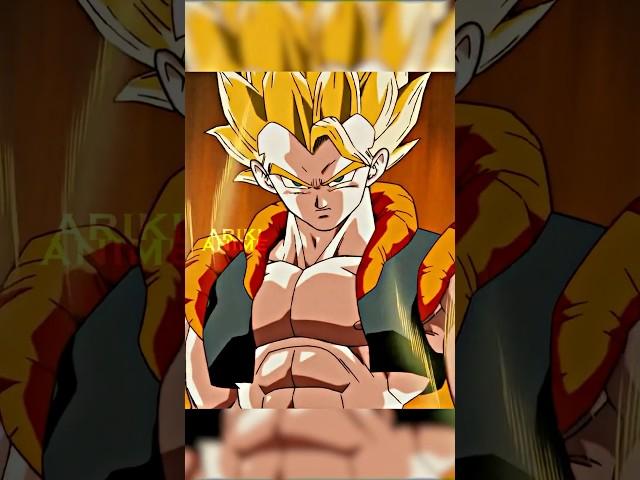 DBZ Gogeta Is Born!