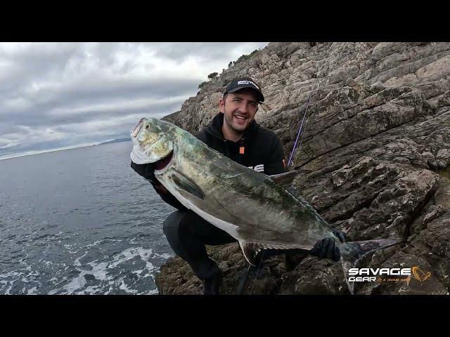 Shore Jigging - Monster Leerfish (Lichia amia)