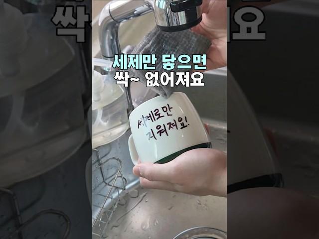 세제만 닿으면 없어지는 키친 마카